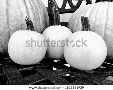 These are black and white pumpkins