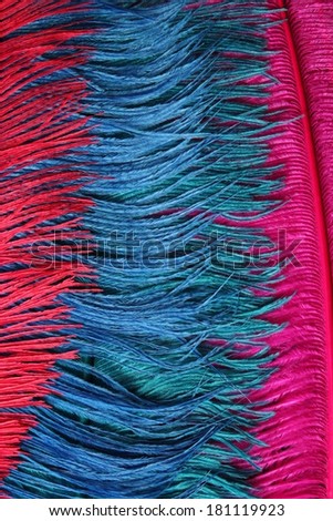 Multi Coloured Ostrich Feathers As A Backdrop, England.