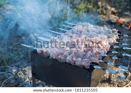 Photo of souvlaki on the chargrill. Meat strung on skewers is fried in the camp at sunset. Smoke rises from the grill.