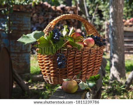 Outdoor still life with basket of fruits