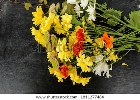 autumn flowers on a black background