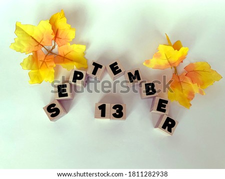 September 13 on wooden cubes on a white background.Calendar for September.Autumn