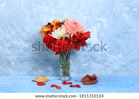 Autumn flower composition, abstract background flat lay, minimal concept of holiday, thanksgiving day. Mother's day card, happy birthday, wedding, place for text