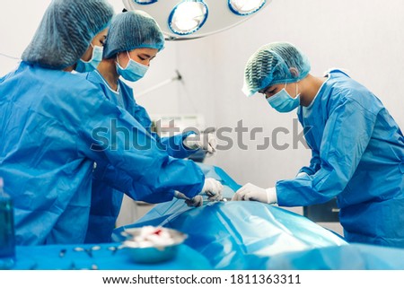 Professional anesthesiologist doctor medical team and assistant preparing patient to gynecological surgery performing operating with surgery equipment in modern hospital operation emergency room