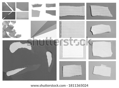 Set of torn paper texture background and have copy space for design in your work.