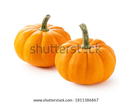 Orange pumpkin on a white background