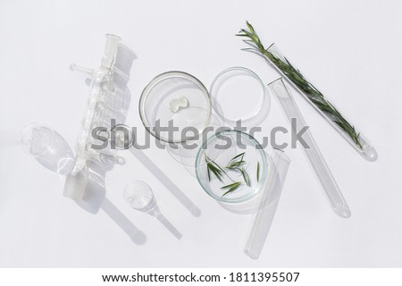 Natural medicine, cosmetic research, bio science, organic skin care products. Serum glass bottle with pipette in petri dish on white background. Top view, flat lay. Concept skincare. Dermatology Royalty-Free Stock Photo #1811395507