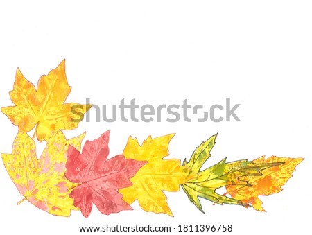 bottom half frame of autumn yellow orange green maple leaves on a white background, graphic drawing, copy space
