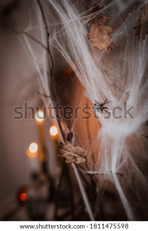 Background decorations for Halloween celebration. tree branches in the web on the background of a Ghost
