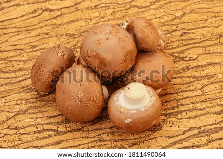 Tasty Raw Brown Champignons over background