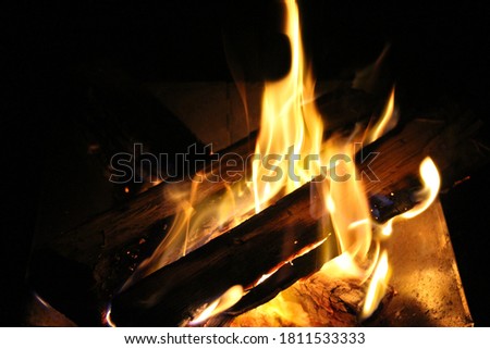 wood and flames burning on a bonfire in the night