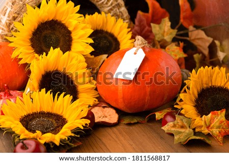 Autumn holiday composition. Sunflowers, dried leaves, pumpkins, apples and rowan berries on rustic wooden background. Autumn, fall, thanksgiving day concept. Selective focus, copy space.