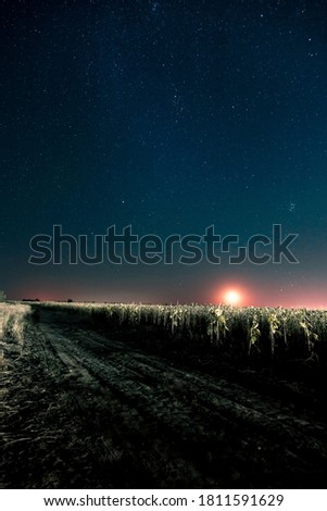 Starry sky and Summer meadow with trees. Summer night. The milky way over the field. Moonrise.