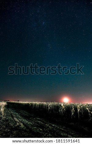 Starry sky and Summer meadow with trees. Summer night. The milky way over the field. Moonrise.