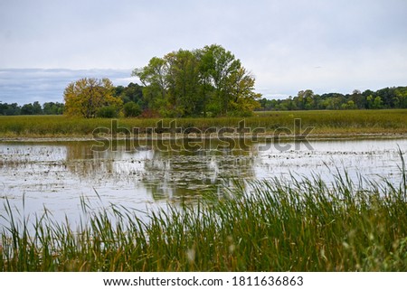 Early fall reflection of tress in water