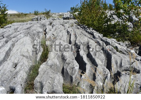 Surface karst limestone erosional features Royalty-Free Stock Photo #1811850922