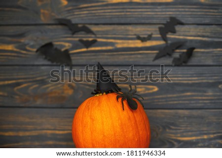 Happy Halloween! Pumpkin with spider and witch hat on dark background with bats. Handmade holiday decorations, celebrating halloween at home