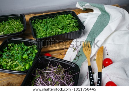 Picture of micro greenery sprouts in containers and tableware