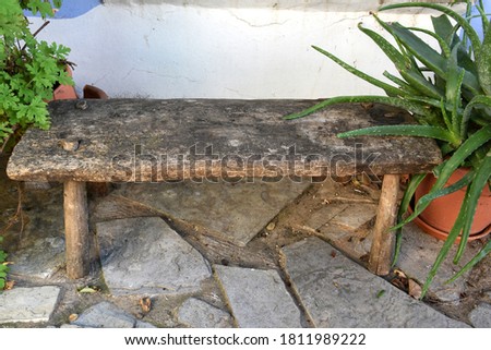 Small rustic wooden bench next to a pot with aloe vera.