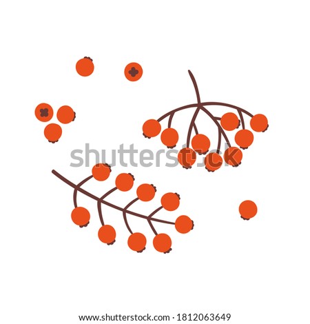 Simple vector berry branch illustration