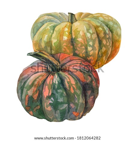 Watercolor green and orange pumpkin isolated on white hand-drawn. October autumn illustration object for halloween, postcard, wallpaper, background, wrapping, poster, celebration, sticker, notebook