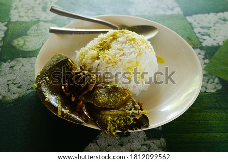 A picture with noise and grain effect of rice with "masak lemak" horseshoe crab in restaurant.