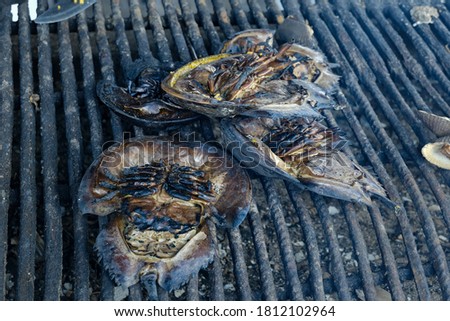Selective focus picture of horseshoe crab been grilled on fire place before serve to customer.