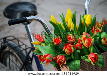 Bicycle with tulips