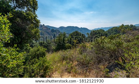 View of a mountain forest landscape under sunlight in mid-summer with a heavy blue sky as a background. Green forest mountain forest in clouds landscape. California USA