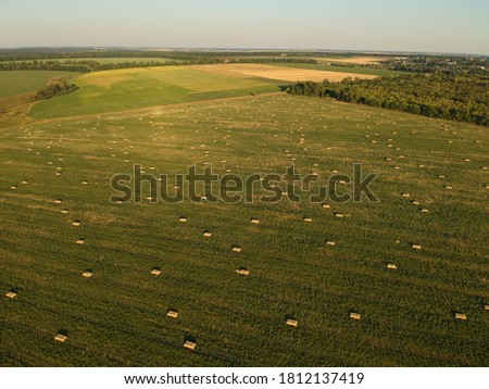 aerial view to stacked hay on the wheat field under sky. Ambrosia field. Drone photography.