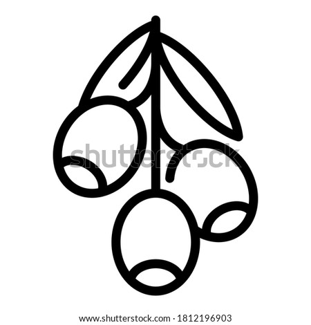 Greek black olives icon. Outline greek black olives vector icon for web design isolated on white background
