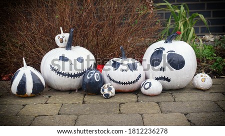 Decorative pumpkins of different sizes in black and white are arranged in a row in front of the house. Happy Halloween, Pumpkin. Thanksgiving Day.                        