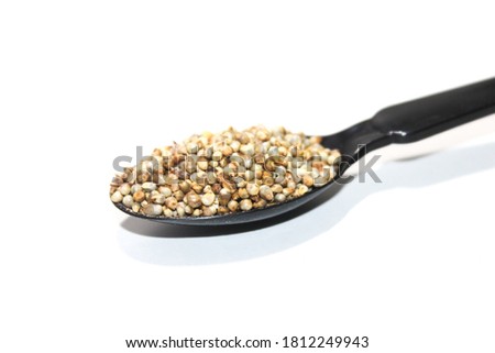 A picture of Pearl millet with selective focus