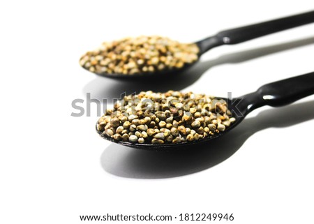 A picture of Pearl millet with selective focus