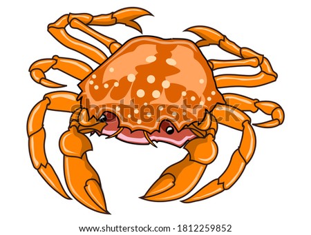 crab vector illustration,isolated on white background,top view