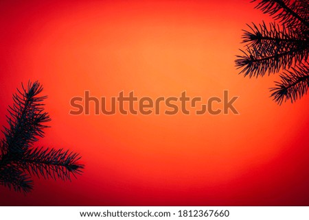 Silhouette of pine tree branches on orange and red background with space for copy text as a Christmas themed background