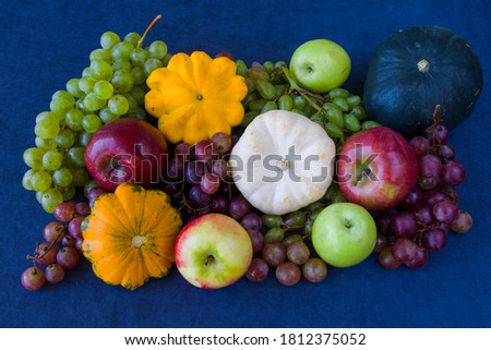 Autumn and fall harvest, pumpkin, apple, grape and pattison on the blue background
