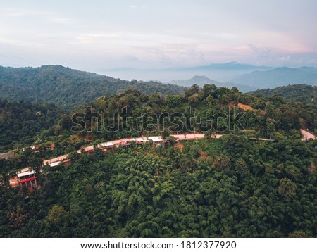 Mountains and green trees Evening mountains and green forest
