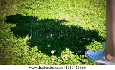 Shadow of one person on green grass, step on the lawn, nature photography 