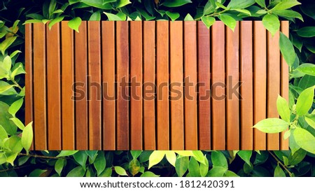 wood sheet on green leaf background With Space For Text.