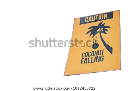 Warning sign Beware of falling coconut old and dirty condition isolated on white background , Ideal for use in the design.
