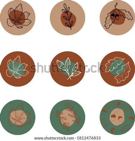 Story icons. Graphic drawing. Flowers and leaves. Set of 9 pieces