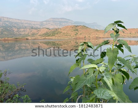 Beautiful lake in karjat Maharashtra  India  Royalty-Free Stock Photo #1812483871