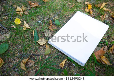 White sheet of notepad on autumn foliage and grass