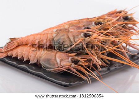 Red banded lobster photo with white background.