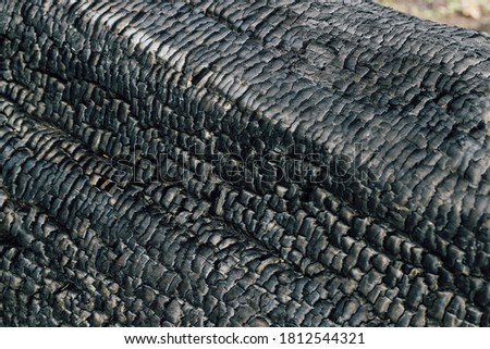 Burnt wood texture, coals. Space for text.