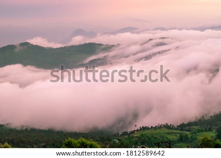 Clouds and fog rolling down green hills at dusk in the Himalayan village of Chaukori in Uttarakhand, India.