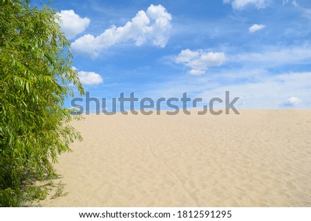 View through the green foliage to the desert in nature