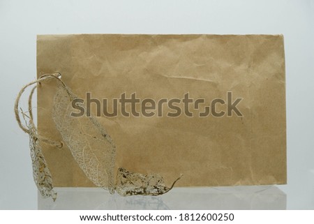 Transparent leaf skeleton on a background of a natural paper bag. Eco friendly paper from fallen leaves. Copy space.