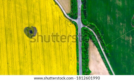 Rapeseed field with a heart in the middle of the forest